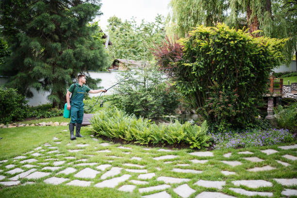 Best Mosquito Control Services  in Wailua Homesteads, HI