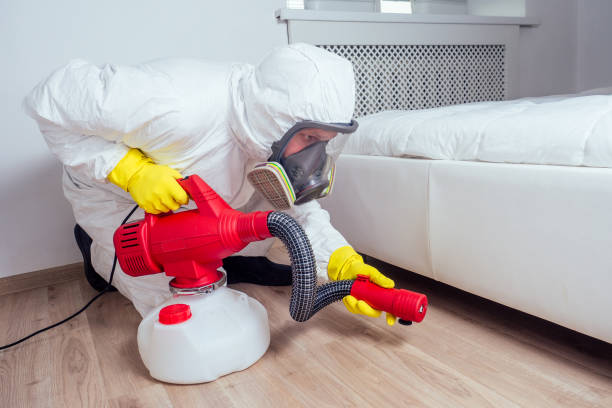 Best Exterminator Services  in Wailua Homesteads, HI